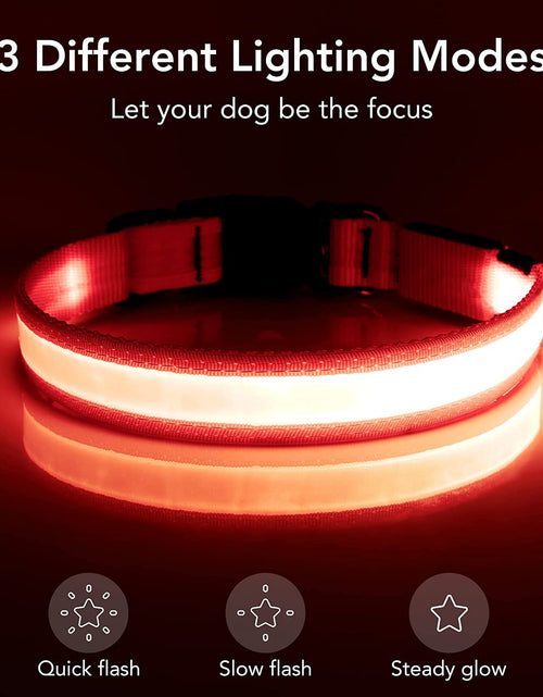 Load image into Gallery viewer, LED Dog Collar, Light up Dog Collar Adjustable USB Rechargeable Super Bright Safety Light Glowing Collars for Dogs
