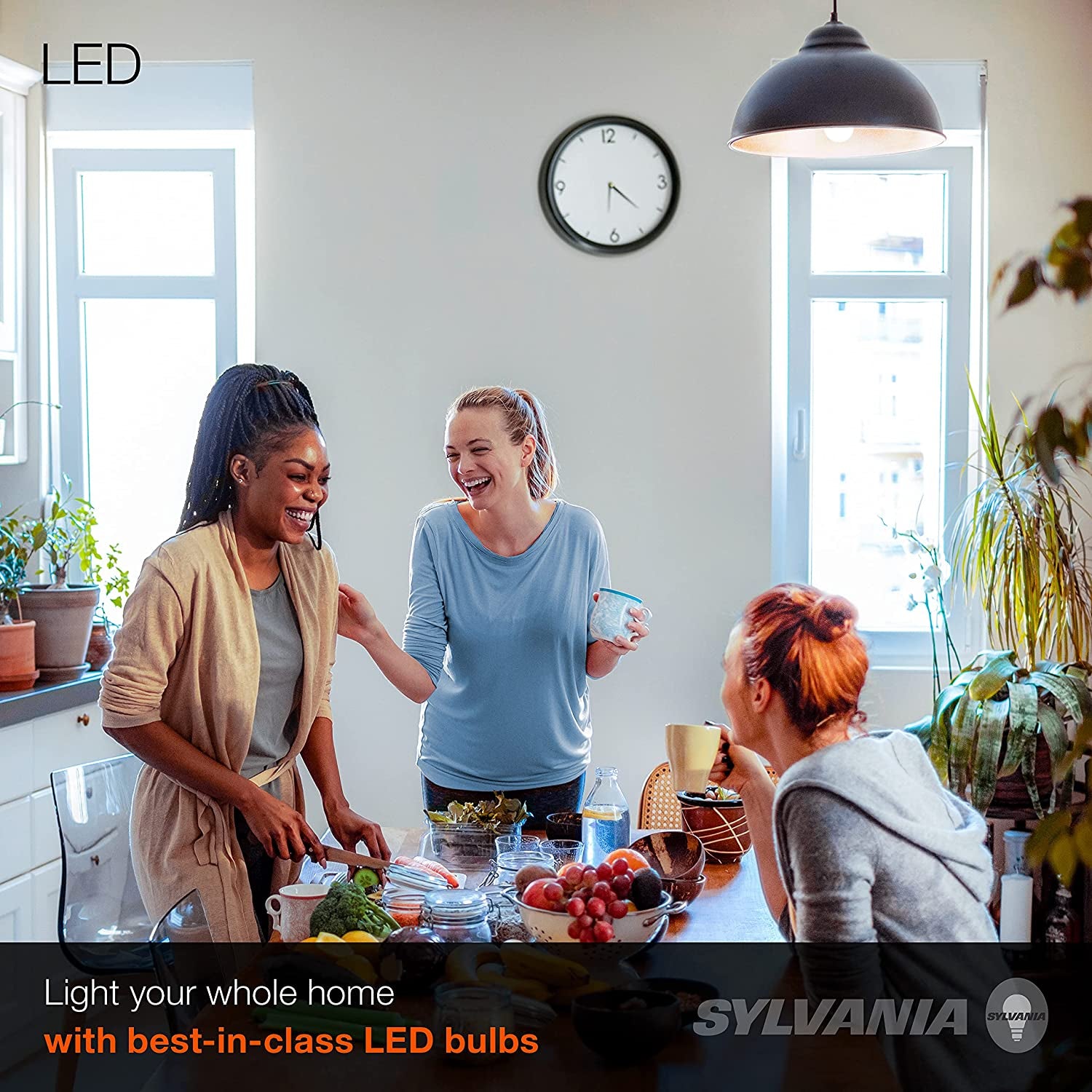 SYLVANIA LED A19 Light Bulb, 100W Equivalent, Efficient 14W, 1500 Lumens, Frosted Finish, Daylight - 4 Pack (78103)