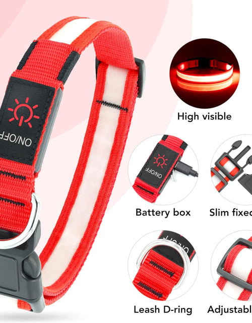 Load image into Gallery viewer, LED Dog Collar, Light up Dog Collar Adjustable USB Rechargeable Super Bright Safety Light Glowing Collars for Dogs
